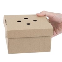 Uitklapbare Hamburgerdozen (100 Stuks)