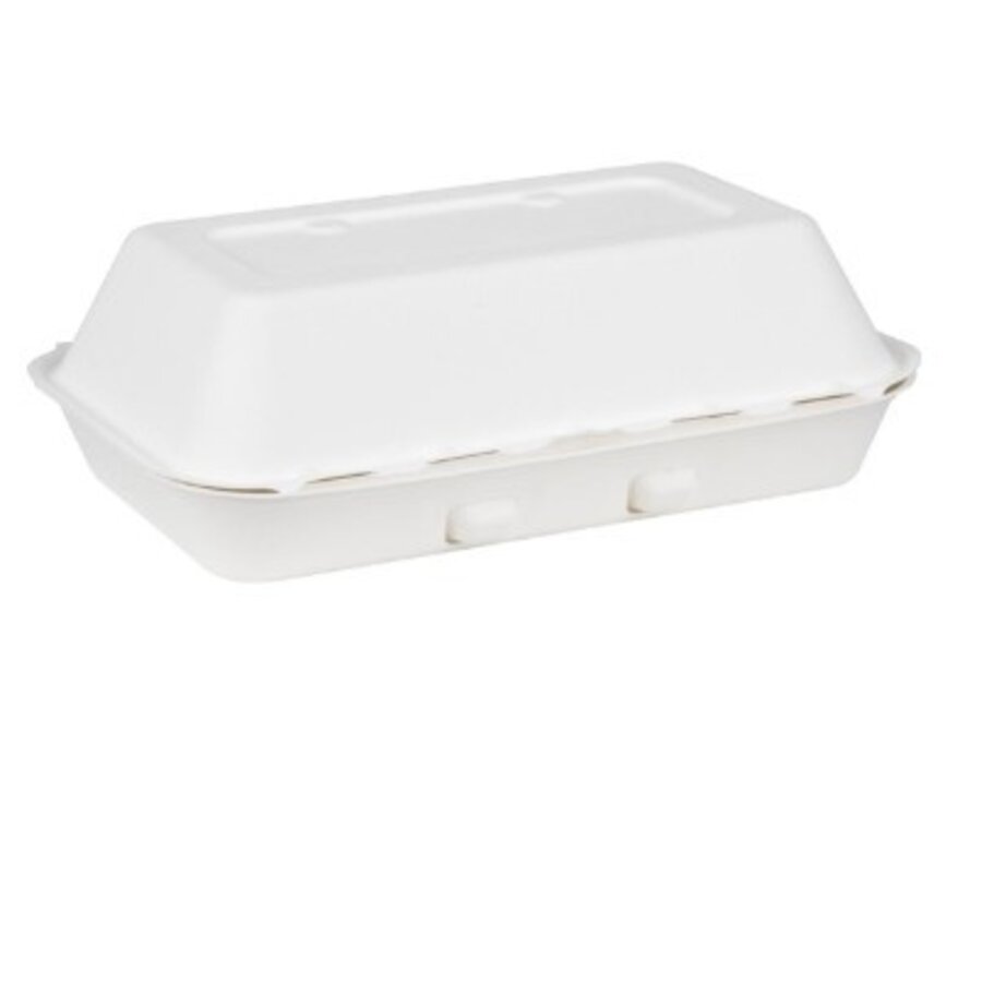 Bagasse Food Containers 9X6" (200 pcs)