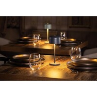 Siena Tafellamp Ronde Koepel Grijs 200mm