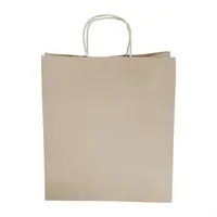 Recycelbare braune Papiertüten mit Drehgriff, groß (250 Stück)