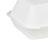Bagasse Voedselcontainers 9X6" (200 stuks)