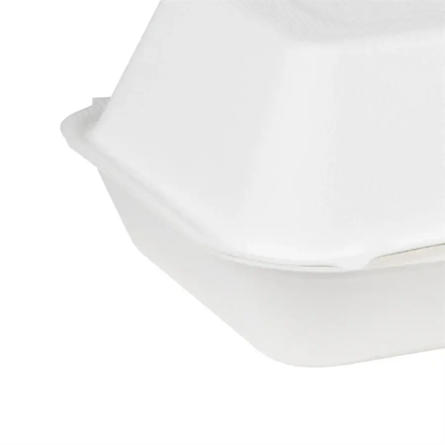 Contenants alimentaires en bagasse 9 x 6 po (200 pièces)