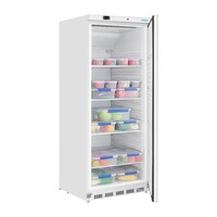 Réfrigérateur vertical | 600 L | Acier inoxydable | +2 °C à +5 °C | 189 x 78 x 74 cm | A