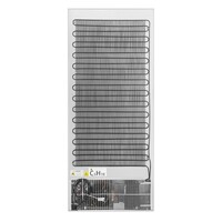 Réfrigérateur de présentation 600 L | +2 °C à +8 °C | 189,5 x 77,7 x 73,5 cm | étiquette A