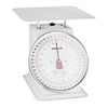 Vogue Balance plateforme Vogue 20 kg