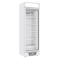 Glass Door Freezer | 1 door | 382L | 67x64x205.8cm