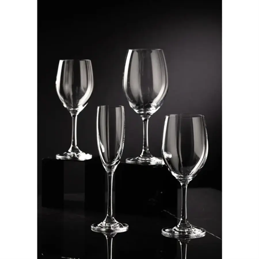 Champagne Glasses | Nile | 170ml | 6 pieces