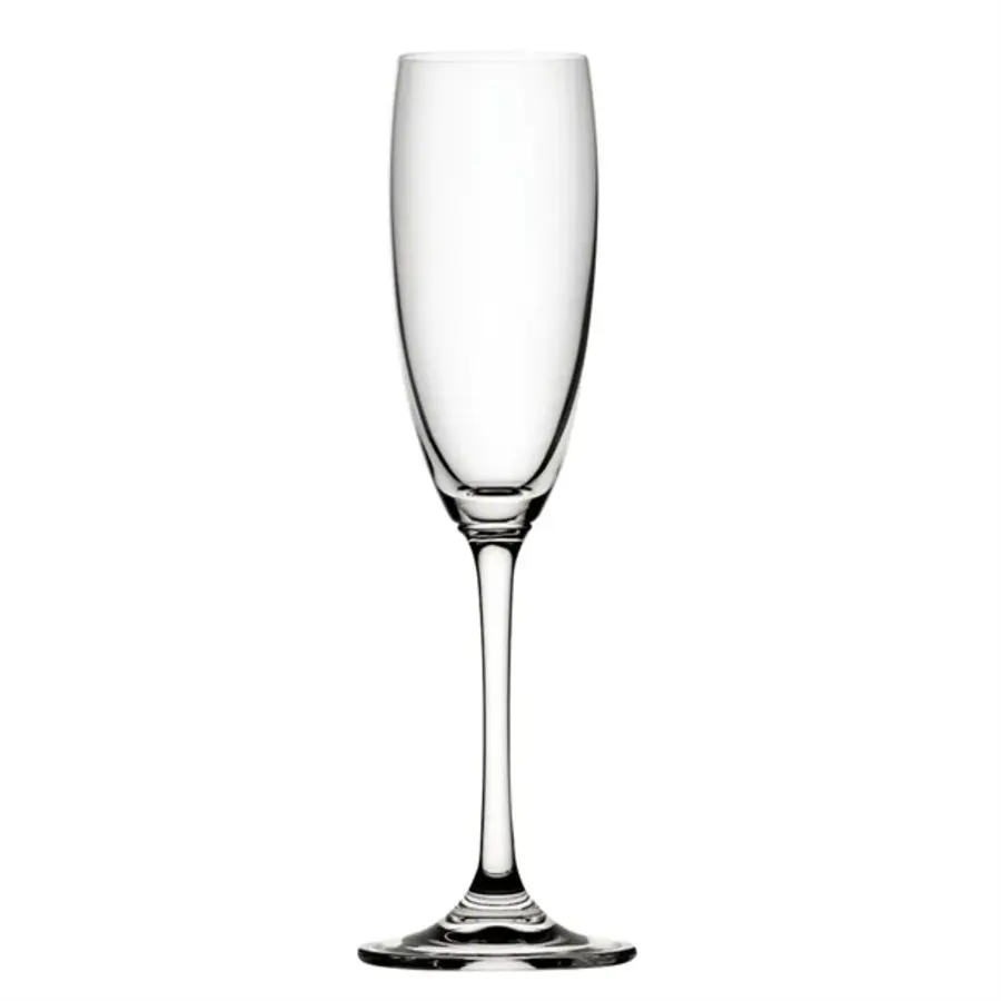 Champagne Glasses | Nile | 170ml | 6 pieces