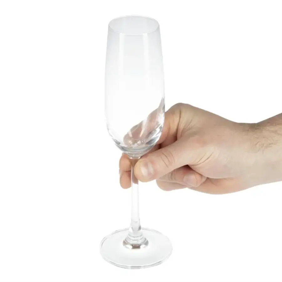 Verres à champagne Olympia Modal 215 ml – Coffret de 6 élégants verres en cristal