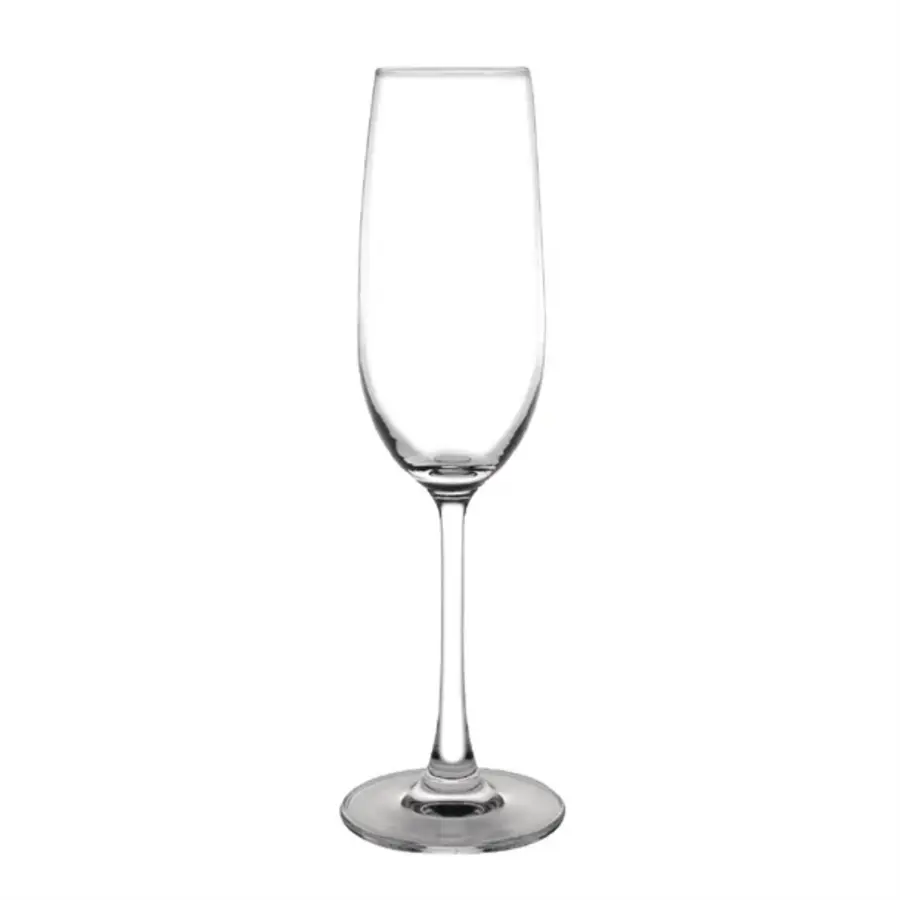 Verres à champagne Olympia Modal 215 ml – Coffret de 6 élégants verres en cristal