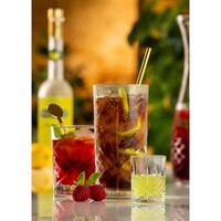 Utopia Symphony Highball-Gläser 450 ml (24 Stück)