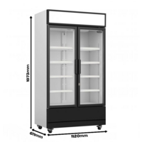 Kühlschrank | 2 Glastüren | 670L