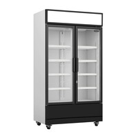 Refrigerator | 2 Glass doors | 670L