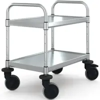 Serving trolley | Stainless steel | 2 levels | Braked | 74x48.5x71.5(h)cm