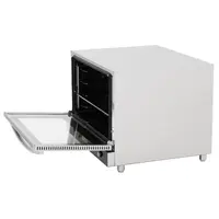 Heteluchtoven met stoom | RVS & glas | 110L | 55,8(h) x 68,6(d)cm | Elektrisch 400V