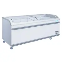 G-Serie Supermarkt Display Vriezer | Glasdeur | 700L | 78(h) x 200,4(b) x 75,8(d)cm