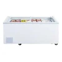 Gefrierschrank der G-Serie für Supermärkte | Glastür | 700 l | 78 (H) x 200,4 (B) x 75,8 (T) cm