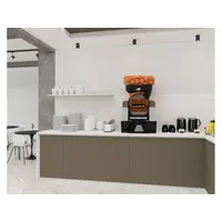 Top Automatic Orange Juicer - High Capacity & Speed