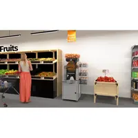 Presse-agrumes automatique FastTop | 230 V | 45 min | Ø 60-80 mm | 620 x 560 x 980 mm (h)