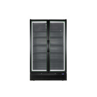 Large Double-Door Display Cooler | 771 Liters | Black | 1985x120x719 | Energy Class A e