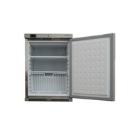 Professioneller Unterbau-Gefrierschrank mit Schloss – 113 Liter – Edelstahl – 84 cm hoch