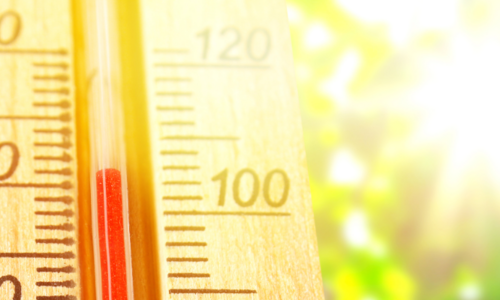 Tropische temperaturen? Voorkom problemen met koelapparatuur