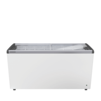 IJsconservator 398L met Glazen Schuifdeksels en LED Verlichting