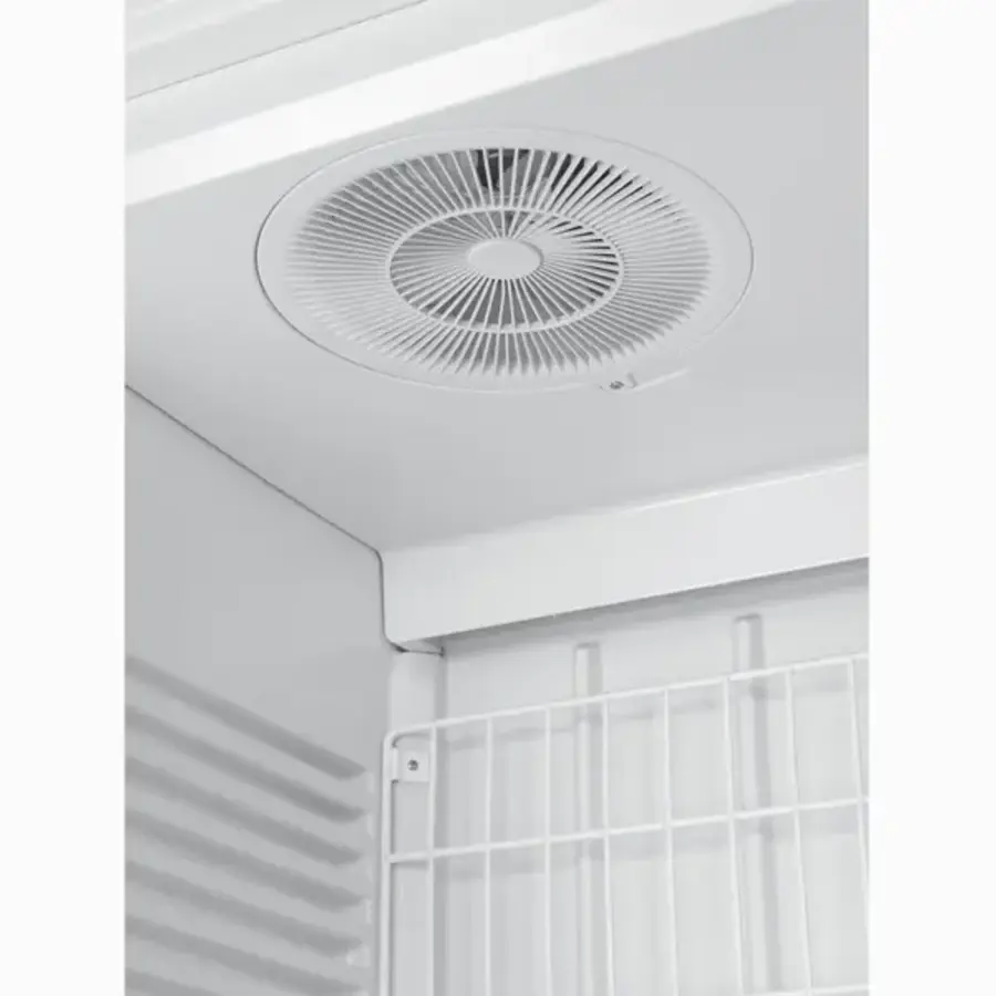 Gefrierschrank mit Glastür | 461 l | -10 °C bis -25 °C | 195,7 x 67 x 73 cm