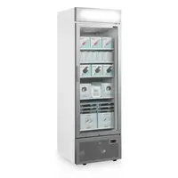 Display Vrieskast 544L – Professionele Merchandising Vriezer