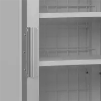 Gefrierschrank 544L – Professioneller Warenpräsentationsgefrierschrank