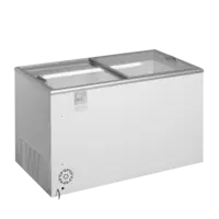 Gefrierschrank für Eiscreme – 345 Liter, 1344 × 694 × 867 mm, -23 bis -16 °C