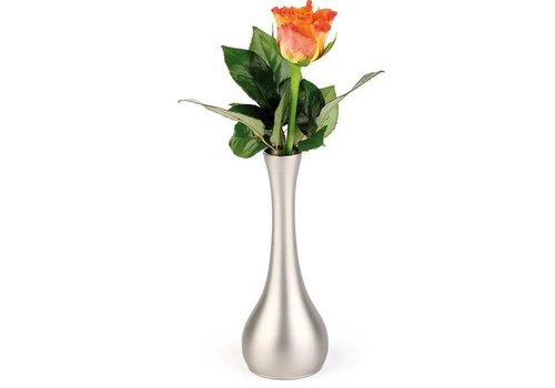  APS Vase à fleurs | Ø6,5 x 18 cm 