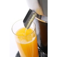 Citrus juicer electric