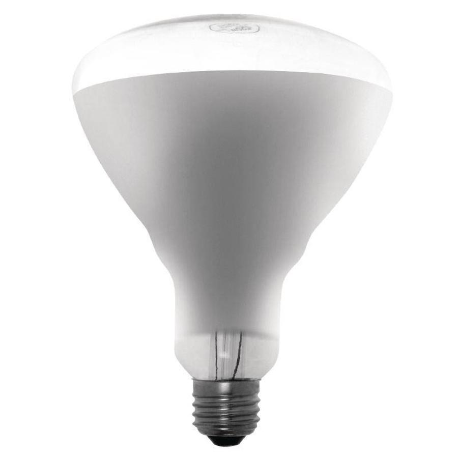 Lampe chauffante - 250 Watt | Incassable