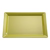 APS Scale Melamine Green | 2 Sizes