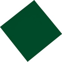Serviettes jetables pour le déjeuner 33 x 33 cm | 6 couleurs
