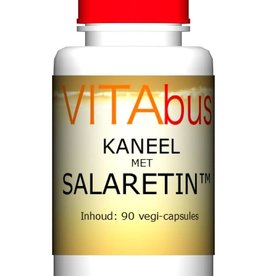 Vitabus Kaneel met salaretin