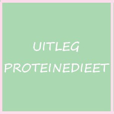 Uitleg proteinedieet