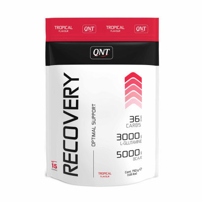 QNT recovery drank tropical (750g)