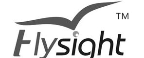 Flysight