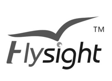 Flysight