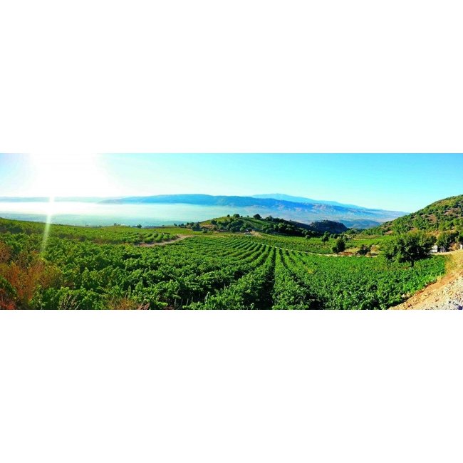 Château Qanafar 2016 - Bekaa Vallei, Libanon