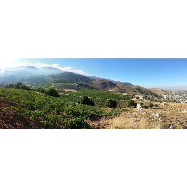 Château Qanafar 2016 - Bekaa Vallei, Libanon