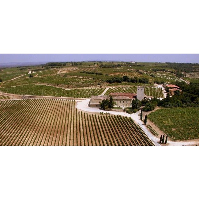 Château de la Gardine Condrieu 2021 Brunel de la Gardine - Côtes du Rhône, Frankrijk