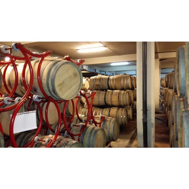 Noble Mavrud Zagreus Winery 0,375L - Thracische Vallei, Bulgarije