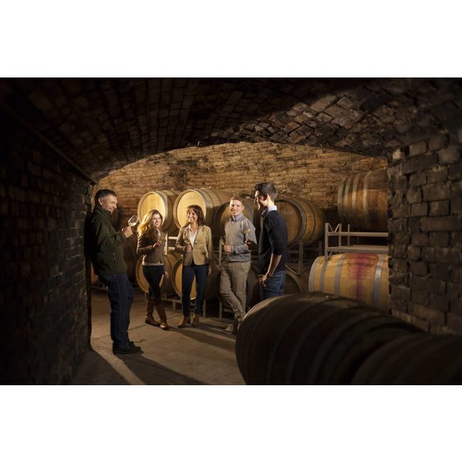 Weingut Hiedler Grüner Veltliner Löss BIO - Kamptal, Niederösterreich, Oostenrijk