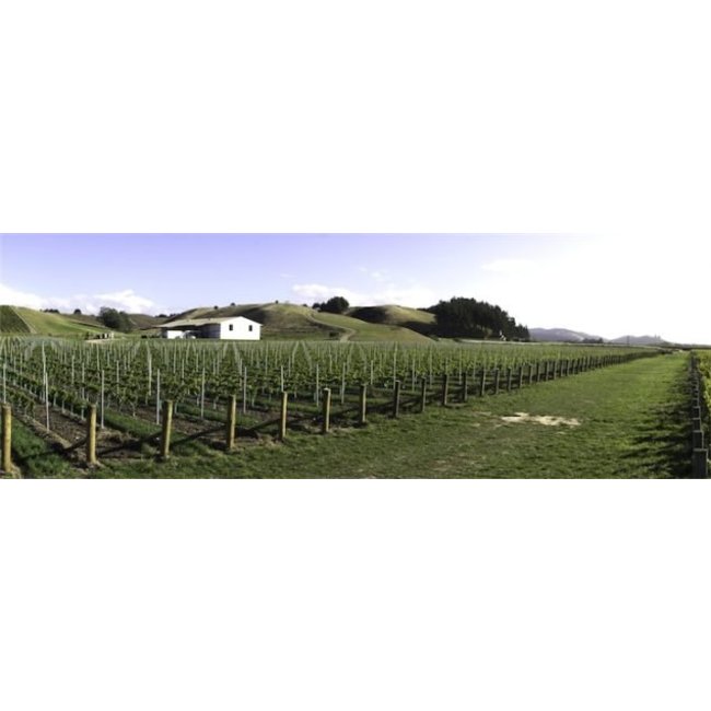 Clos Henri Estate Sauvignon Blanc 2023 - Marlborough, Nieuw-Zeeland