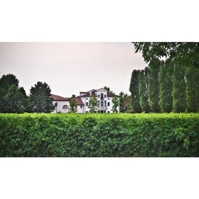 Paladin Primo Rosso Spumante - Veneto, Italië