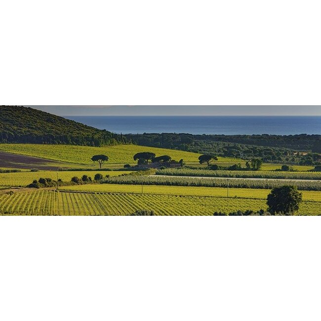 Château de Gourgazaud Cuvée Mathilde - Minervois La Livinière, Frankrijk