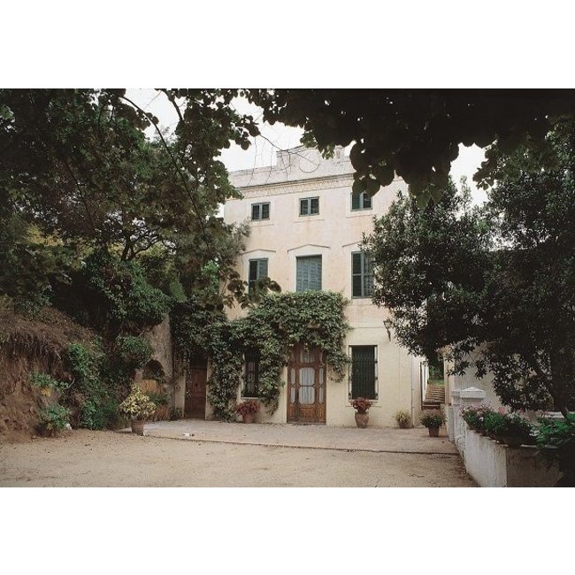 Mas Codina Cava Brut Reserva MAGNUM 1,5L - Penedès, Spanje